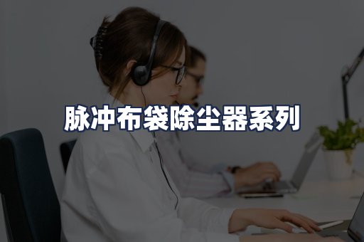 脉冲布袋除尘器系列